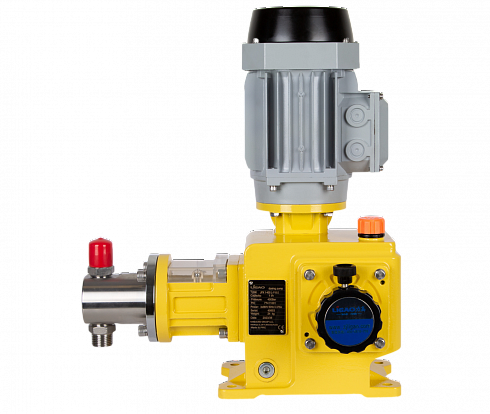 JPX, JPZ, JPR, JPD, JPG, JPW